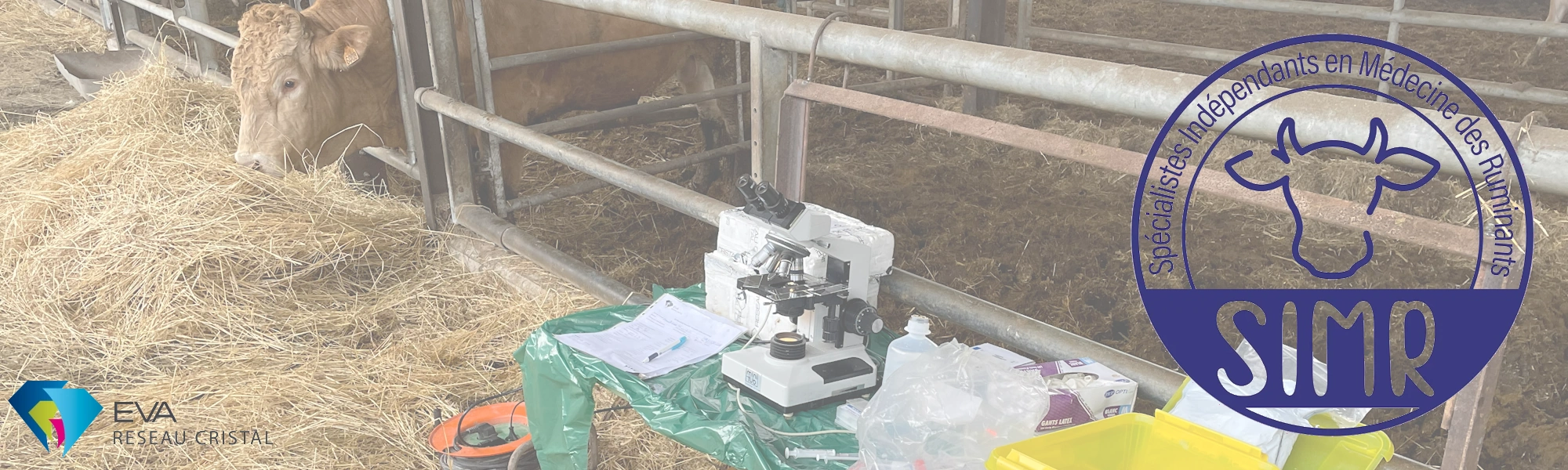 Banderole avec les logos EVA et SIMR